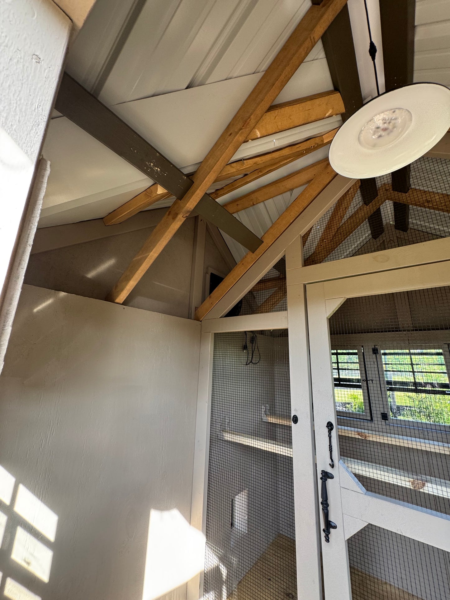 Our Best Selling Walk In Chicken Coop and Run