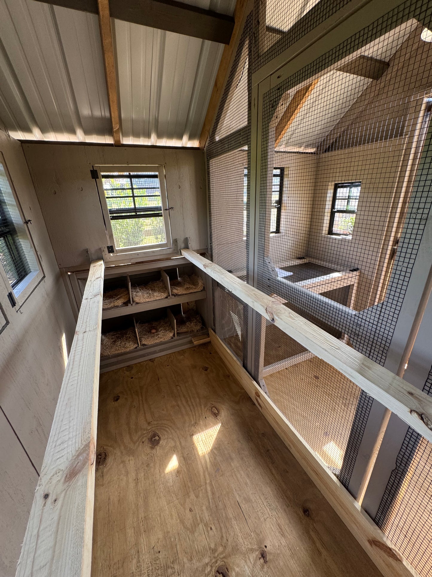 Our Best Selling Walk In Chicken Coop and Run